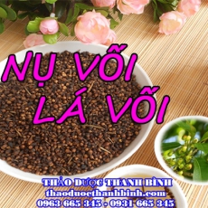 Địa chỉ mua bán nụ vối lá vối tại Bình Phước giá tốt nhất