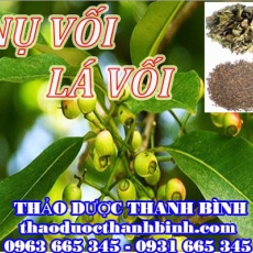 Địa chỉ mua bán nụ vối - lá vối tại Bình Phước uy tín chất lượng