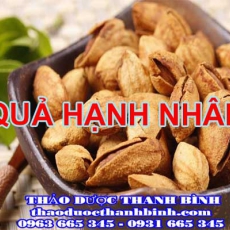 Địa chỉ mua bán quả hạnh nhân tại Bắc Giang giá tốt nhất