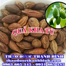 Địa chỉ mua bán quả kha tử tại Hà Nội giá tốt nhất