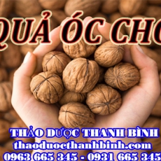 Địa chỉ mua bán quả óc chó tại Bắc Kạn uy tín chất lượng