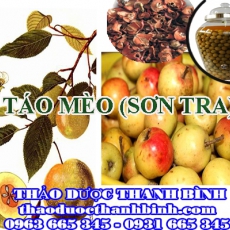 Địa chỉ mua bán quả táo mèo (sơn tra) tại Bình Phước giá tốt nhất