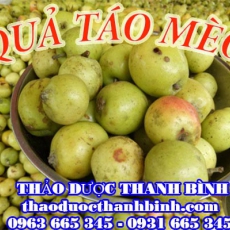 Địa chỉ mua bán quả táo mèo (sơn tra) tại Bình Phước uy tín chất lượng