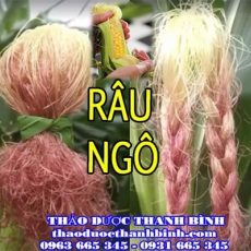 Địa chỉ mua bán râu ngô tại Bến Tre giá tốt nhất