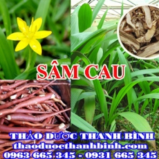 Địa chỉ mua bán sâm cau (tiên mao) tại Điện Biên giá tốt nhất