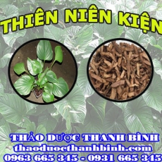 Địa chỉ mua bán thiên niên kiện tại Bình Thuận giá tốt nhất