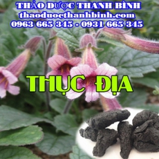 Địa chỉ mua bán thục địa tại Đồng Nai giá tốt nhất