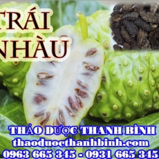 Địa chỉ mua bán trái nhàu khô tại Bình Thuận uy tín chất lượng