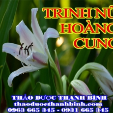 Địa chỉ mua bán trinh nữ hoàng cung tại Bắc Giang giá tốt nhất