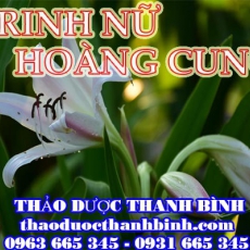 Địa chỉ mua bán trinh nữ hoàng cung tại Bắc Giang uy tín chất lượng