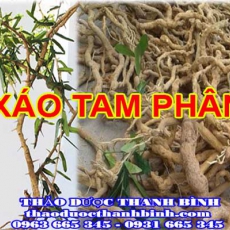 Địa chỉ mua bán xáo tam phân tại Bắc Ninh giá tốt nhất