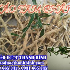 Địa chỉ mua bán xáo tam phân tại Bắc Ninh uy tín chất lượng