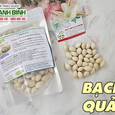 Địa điểm bán bạch quả có lợi cho tuần hoàn não uy tín chất lượng nhất