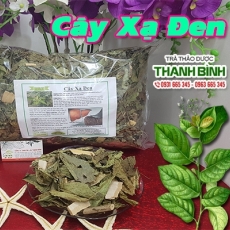 Địa điểm bán cây xạ đen điều trị gan nhiễm mỡ uy tín chất lượng nhất