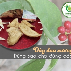 Địa điểm bán dây đau xương chữa chấn thương tụ máu uy tín chất lượng nhất