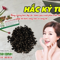 Địa điểm bán hắc kỷ tử giúp chống lão hóa da uy tín chất lượng nhất