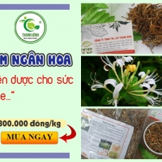 Địa điểm bán kim ngân hoa chữa viêm xoang cấp tính uy tín chất lượng nhất