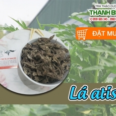 Địa điểm bán lá atiso chữa chứng buồn nôn uy tín chất lượng nhất