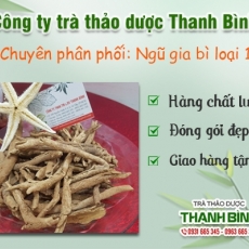 Địa điểm bán ngũ gia bì chữa thấp khớp uy tín chất lượng nhất