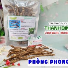 Địa điểm bán phòng phong giúp điều trị cảm mạo phong hàn
