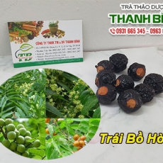Địa điểm bán trái bồ hòn có tác dụng làm chất tẩy rửa an toàn nhất