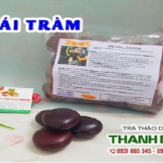Địa điểm bán trái tràm tại Hà Nội giúp điều trị trĩ hiệu quả tốt nhất