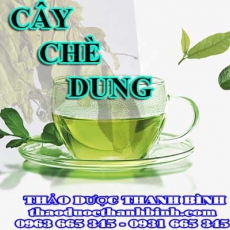 Địa điểm cung cấp cây chè dung tại Bắc Giang uy tín chất lượng