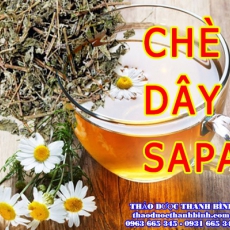 Địa điểm cung cấp chè dây tại Bà Rịa Vũng Tàu uy tín chất lượng