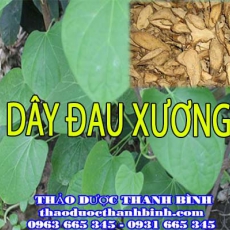 Địa điểm cung cấp dây đau xương tại Bình Dương uy tín chất lượng