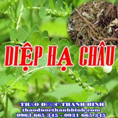 Địa điểm cung cấp diệp hạ châu tại Bến Tre uy tín chất lượng