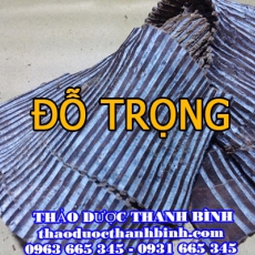 Địa điểm cung cấp đỗ trọng tại Cần Thơ uy tín chất lượng