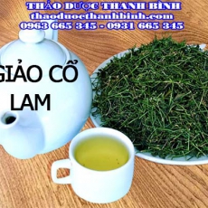 Địa điểm cung cấp giảo cổ lam tại Bình Dương uy tín chất lượng