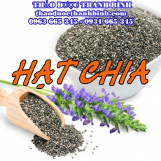 Địa điểm cung cấp hạt chia tại Hà Tĩnh uy tín chất lượng