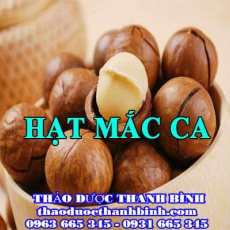 Địa điểm cung cấp hạt mắc ca tại Cà Mau uy tín chất lượng