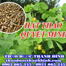 Địa điểm cung cấp hạt thảo quyết minh tại Hà Nội uy tín chất lượng