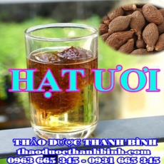 Địa điểm cung cấp hạt ươi tại Bắc Kạn uy tín chất lượng