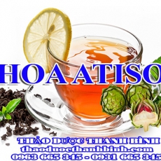 Địa điểm cung cấp hoa atiso tại Bắc Kạn uy tín chất lượng