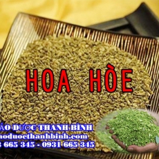 Địa điểm cung cấp hoa hòe tại Bình Thuận uy tín chất lượng