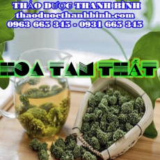 Địa điểm cung cấp hoa tam thất tại Bạc Liêu uy tín chất lượng