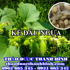 Địa điểm cung cấp ké đầu ngựa tại Điện Biên uy tín chất lượng