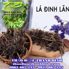 Địa điểm cung cấp lá đinh lăng tại Cà Mau uy tín chất lượng