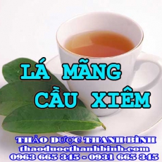 Địa điểm cung cấp lá mãng cầu xiêm tại Bạc Liêu uy tín chất lượng