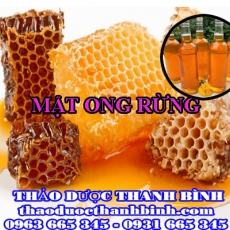 Địa điểm cung cấp mật ong rừng tại Cao Bằng uy tín chất lượng