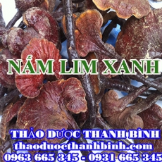Địa điểm cung cấp nấm lim xanh tại Cao Bằng uy tín chất lượng