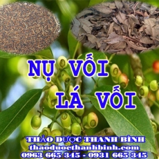 Địa điểm cung cấp nụ vối lá vối tại Bình Phước chất lượng