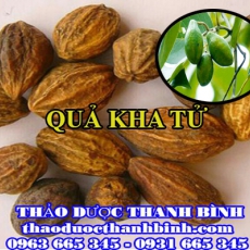 Địa điểm cung cấp quả kha tử tại Hà Nội uy tín chất lượng