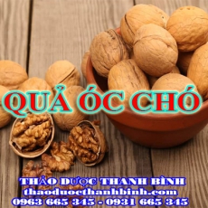 Địa điểm cung cấp quả óc chó tại Bắc Kạn uy tín