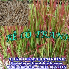Địa điểm cung cấp rễ cỏ tranh tại Đắk Lắk uy tín chất lượng