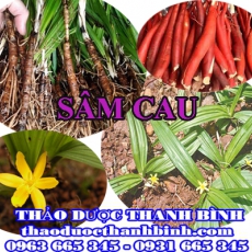 Địa điểm cung cấp sâm cau (tiên mao) tại Điện Biên uy tín chất lượng