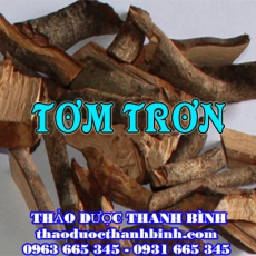 Địa điểm cung cấp tơm trơn tại Hà Tĩnh uy tín chất lượng